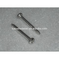 DIN7981 philips pan head self tapping screw, pan head screw from Chinese munufacture